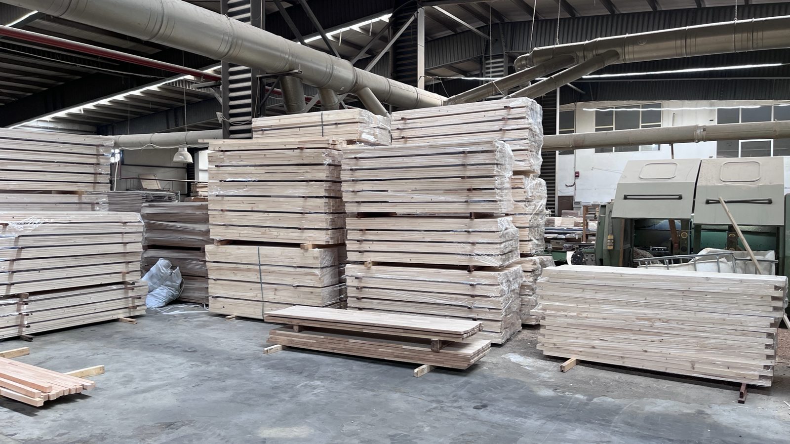 Beech square timber stacked at a partner sawmill